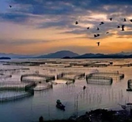 乐山伴游中国网景点丰富(旅游网介绍)