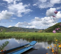 乐山旅游游记(旅游游记怎么写)