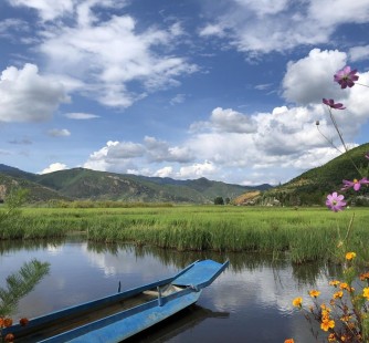 乐山旅游游记(旅游游记怎么写)