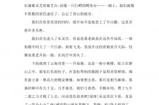 乐山旅游感想(张家界旅游感想)