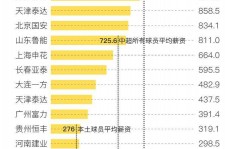 乐山关于伴游小丽中国足球的信息