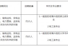 乐山重庆有雇用伴游外围吗(高端外围伴游雇用一单一结)