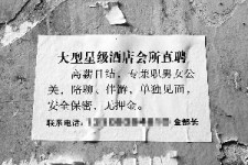 乐山珠海伴游雇用网(珠海游览社雇用信息)