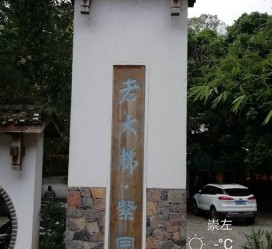 乐山关于伴游中国伴游你们伴得是什么游的信息