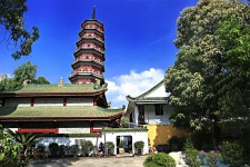 乐山广州自由行(广州 自由行)