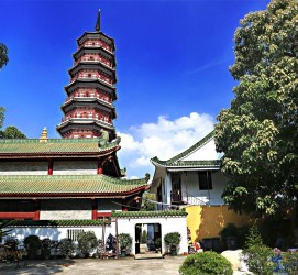 乐山广州自由行(广州 自由行)
