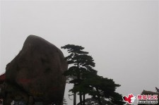 乐山上海伴游私家陪游雇用女模(上海伴游私家陪游雇用女模特)