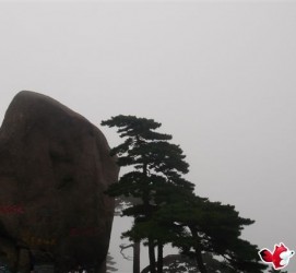 乐山上海伴游私家陪游雇用女模(上海伴游私家陪游雇用女模特)