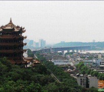 乐山武汉游玩攻略(武汉游玩攻略ppt)