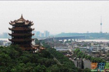 乐山武汉游玩攻略(武汉游玩攻略ppt)