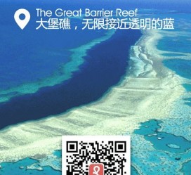 乐山中国250家旅行社结伴游新西兰(新西兰当地旅行社)