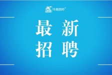 乐山镇江伴游雇用驾驶员(镇江驾驶员雇用苍生网)