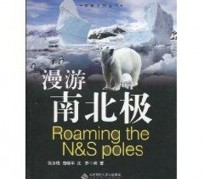 乐山游记攻略(ps西游记攻略)
