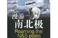 乐山游记攻略(ps西游记攻略)