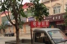 乐山上海伴游 用伴游造句大全(5