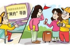 乐山伴游是什么
