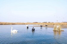 乐山南昌附近伴游小妹兼职(1534939978姐的微信德惠市)
