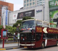 乐山上海私人伴游 上海过年怎么玩？这些“微游”线路了解下→