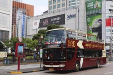 乐山上海私人伴游 上海过年怎么玩？这些“微游”线路了解下→