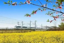 乐山高铁游(高铁游戏下载手机版)