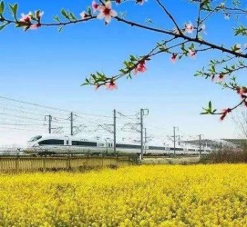 乐山高铁游(高铁游戏下载手机版)