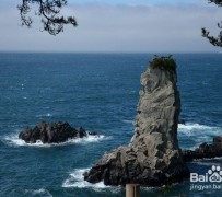 乐山旅游全攻略(上海旅游全攻略)