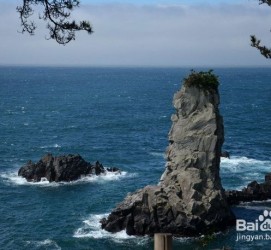 乐山旅游全攻略(上海旅游全攻略)
