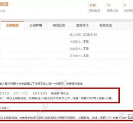 乐山游艇伴游雇用(游艇办事员雇用)