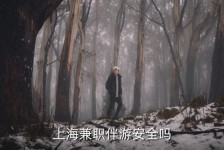 乐山上海私人伴游 上海伴游，上海兼职伴游安全吗