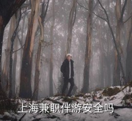 乐山上海私人伴游 上海伴游，上海兼职伴游安全吗