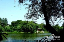 乐山西湖旅游攻略(上海到杭州西湖旅游攻略)