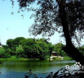 乐山西湖旅游攻略(上海到杭州西湖旅游攻略)