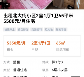 乐山私人伴游是什么 “过年租友”陷阱：骗财与色情服务
