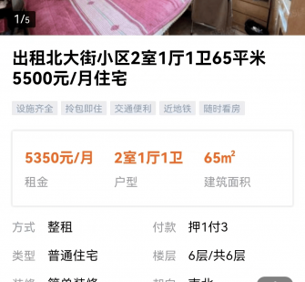 乐山私人伴游是什么 “过年租友”陷阱：骗财与色情服务