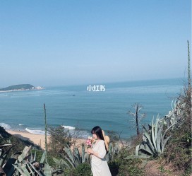 乐山厦门周边游(厦门及周边旅游攻略)