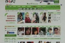 乐山home伴游中国(zarahome乳胶枕)