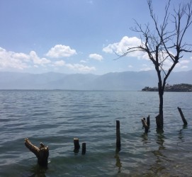 乐山洱海旅游攻略(洱海旅游攻略自由行)