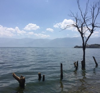 乐山洱海旅游攻略(洱海旅游攻略自由行)