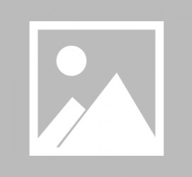 乐山泉州洛江区伴游网雇用(泉州洛江区伴游网雇用信息)