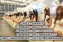 乐山雇用旅游男伴游(北京商务酒店雇用伴游)