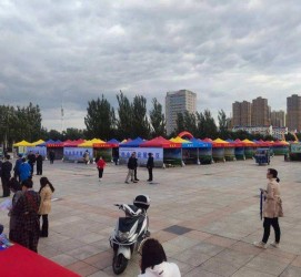 乐山通辽伴游雇用(哈尔滨伴游雇用)