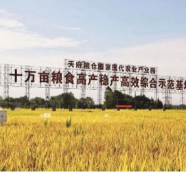 乐山关于成都商务伴游外围雇用的信息