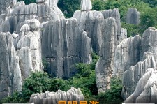 乐山贵阳市游览社英语伴游雇用(贵阳市前十名游览社是哪几家)