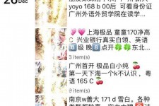 乐山外围伴游雇用圈套(雇用伴游什么样子的是实的)