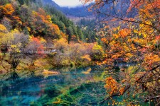乐山四川旅游攻略(四川旅游攻略十五日游)