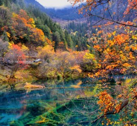 乐山四川旅游攻略(四川旅游攻略十五日游)