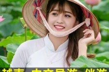 乐山日本关东伴游中国(日本关西旅行)