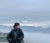乐山四日游(朝鲜四日游)