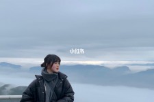 乐山四日游(朝鲜四日游)
