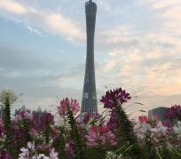 乐山广州旅游攻略(杭州到广州旅游攻略)